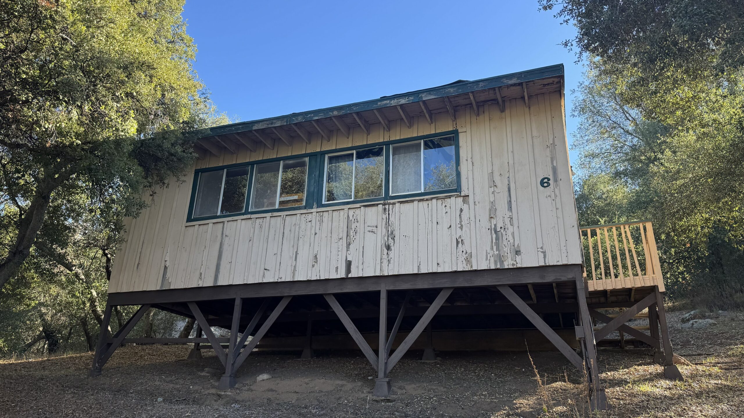 Cabin 5
